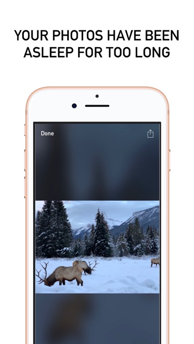 Rouse: Wake Photos Up screenshot 2