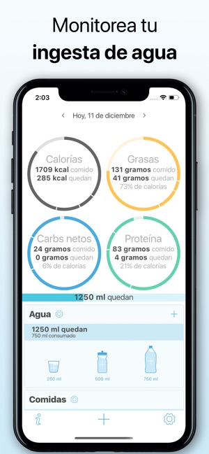 dieta cetosisgenica gratis pdf