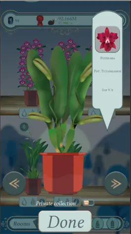 Game screenshot The Black Orchid - Idle Garden hack