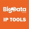 Icon IP Tools: Network Insights
