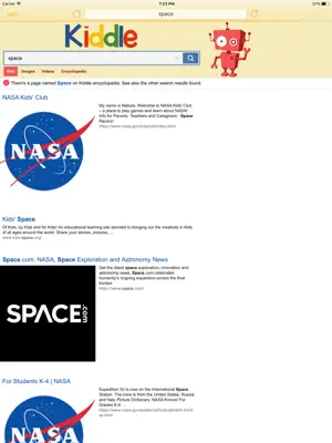 Safer Web screenshot 3