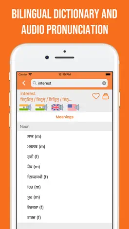 Game screenshot Punjabi and English Dictionary apk