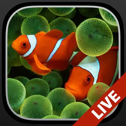 Aquarium Dynamic Wallpapers Cheats