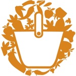DFS Mart