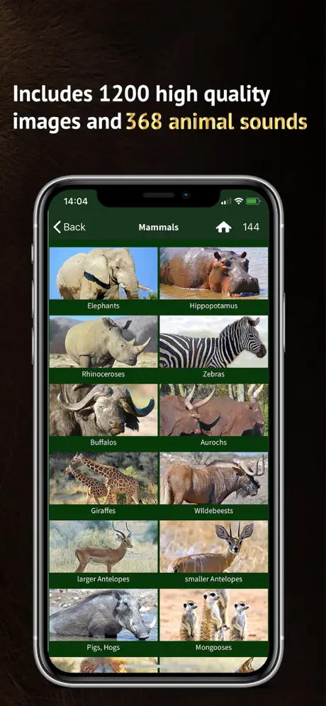 The Golden Safari Guide