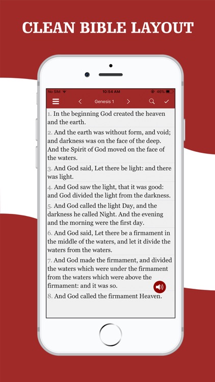 American King James Bible