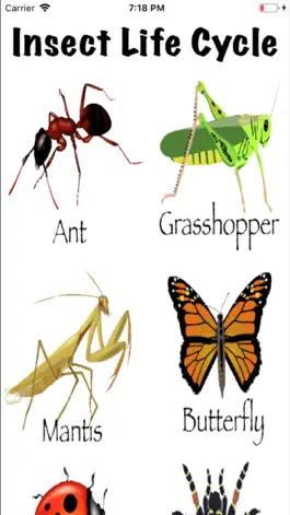 Game screenshot Life Cycle - Insects Arachnids mod apk