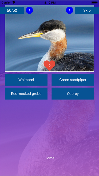 Bird Quiz - Name the Bird! Screenshot