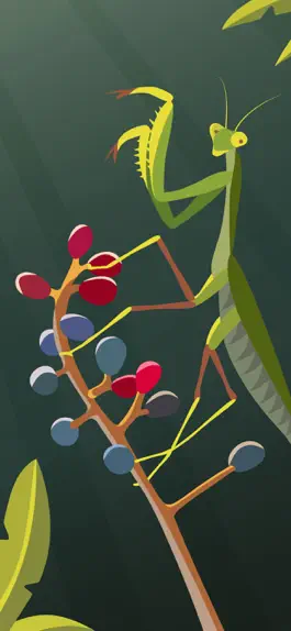 Game screenshot Oil Painting - Paint by Number hack