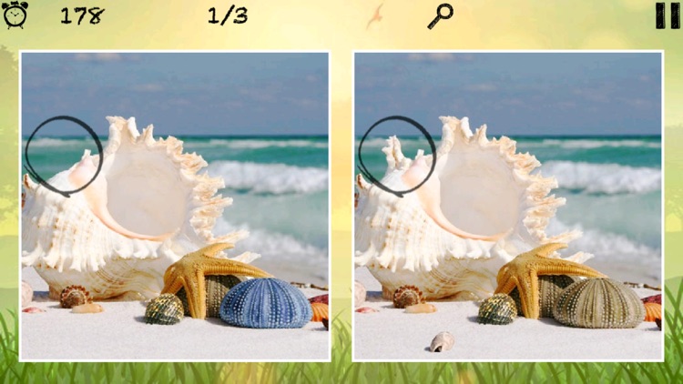 1000 Photos Difference Game