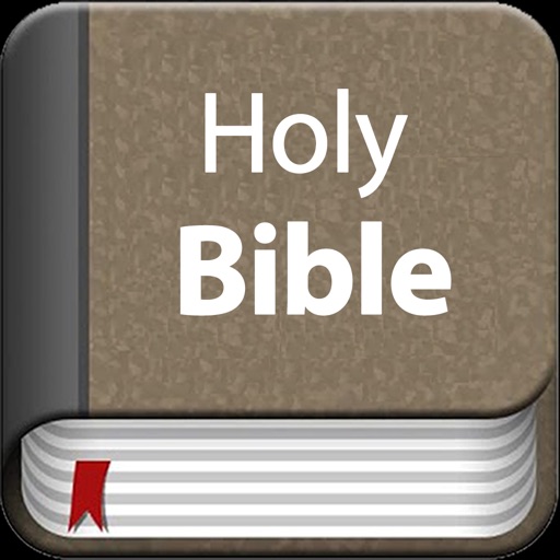 The bible offline for iPad icon