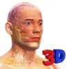 Idle Human 3D contact information