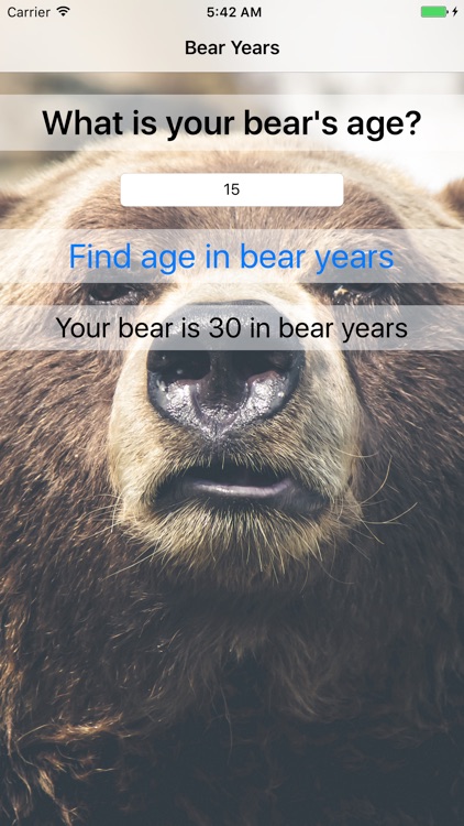 Bear Years - Fun For Kids! screenshot-3