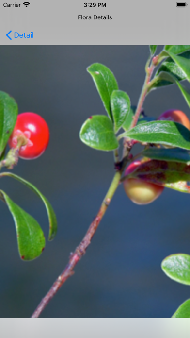 NCFlowers Screenshot
