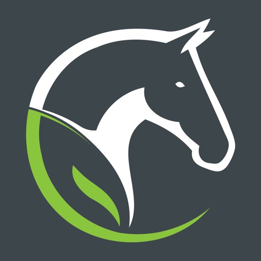 КСК Прованс