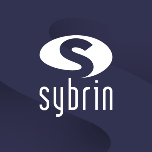 Sybrin Identity