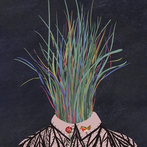 西柚壁纸 - 创意摄影与绘画插画 Download