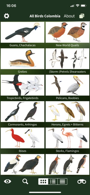 All Birds Colombia field guide(圖1)-速報App
