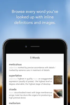 Game screenshot Word Vault: Vocabulary Builder hack