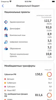 Бюджет.РФ айфон картинки 2