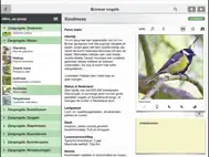 Vogels in Nederland Pro ipad bilder 0