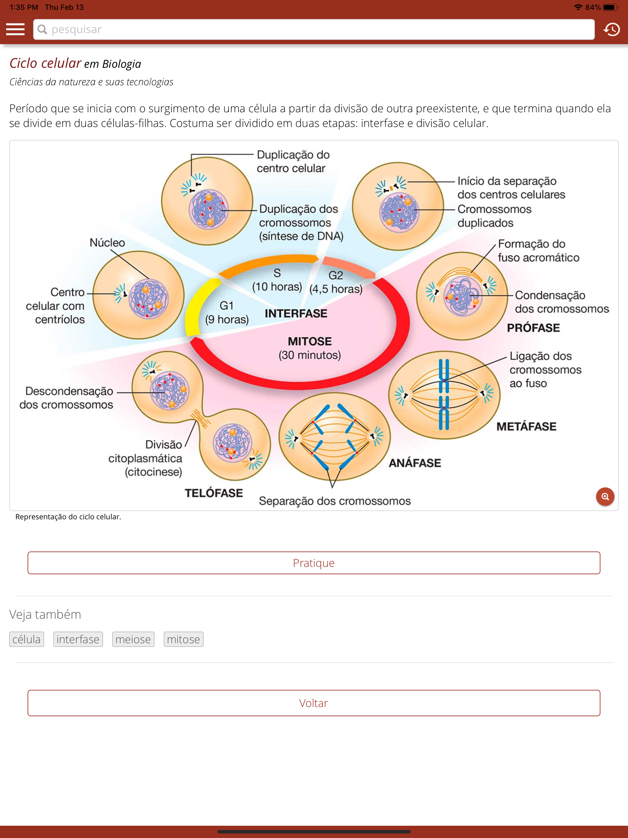 Vereda App