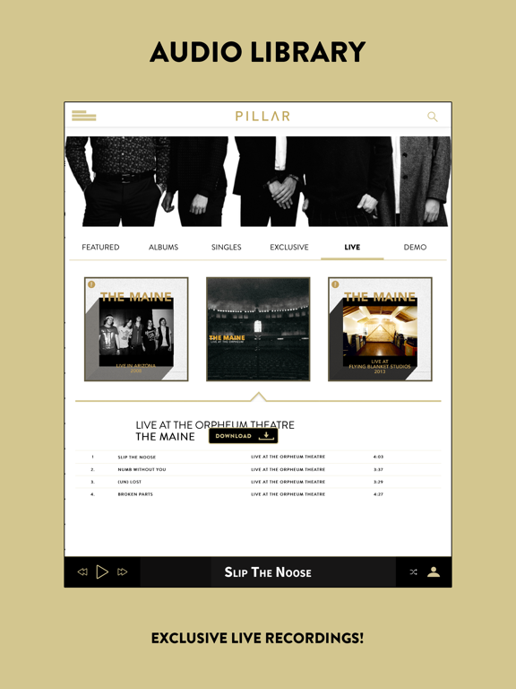Pillar: Music Community iPad screenshot 4 - Music app