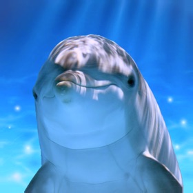 스크린샷 (3) Tap Dolphin -simulation game-
