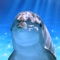Tap Dolphin -simulation game-