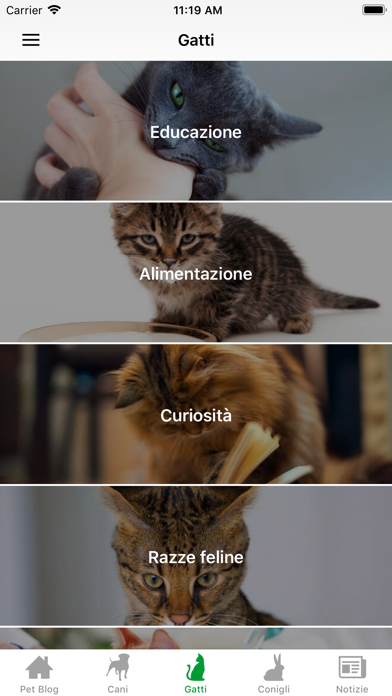 BEPUPPY Blog & Shop Screenshot