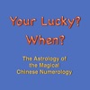 Icon Astrology Chinese Numerology