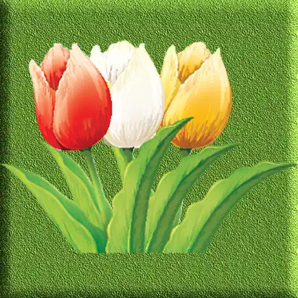 Tulip Singles Читы
