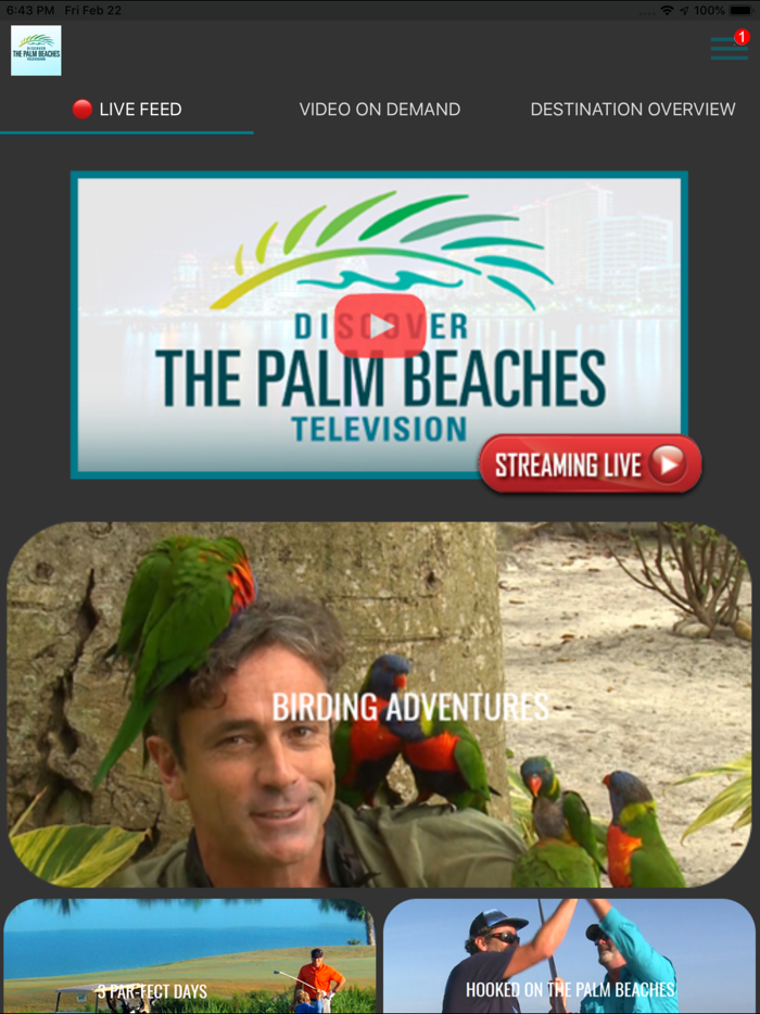 The Palm Beaches TV