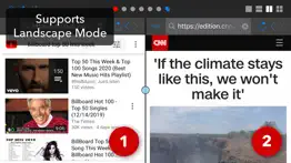 dual - multi screen webbrowser iphone capturas de pantalla 2