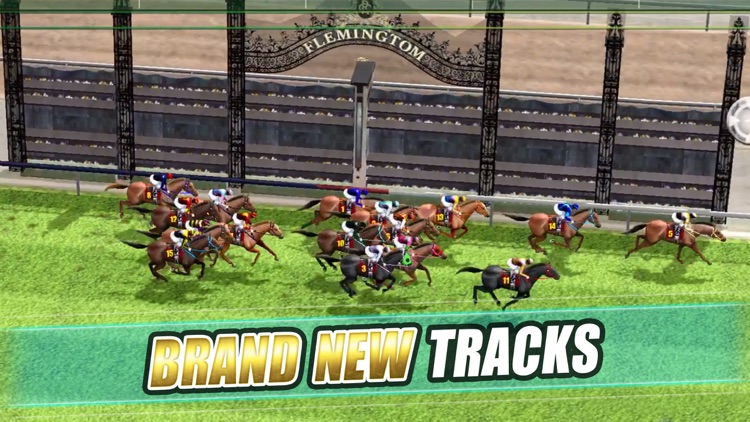 iHorse：The Horse Racing Arcade screenshot-2
