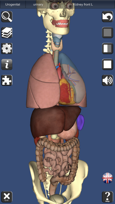 3D Anatomy Screenshot 8