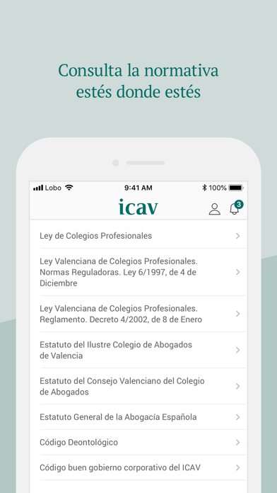 ICAV Screenshot