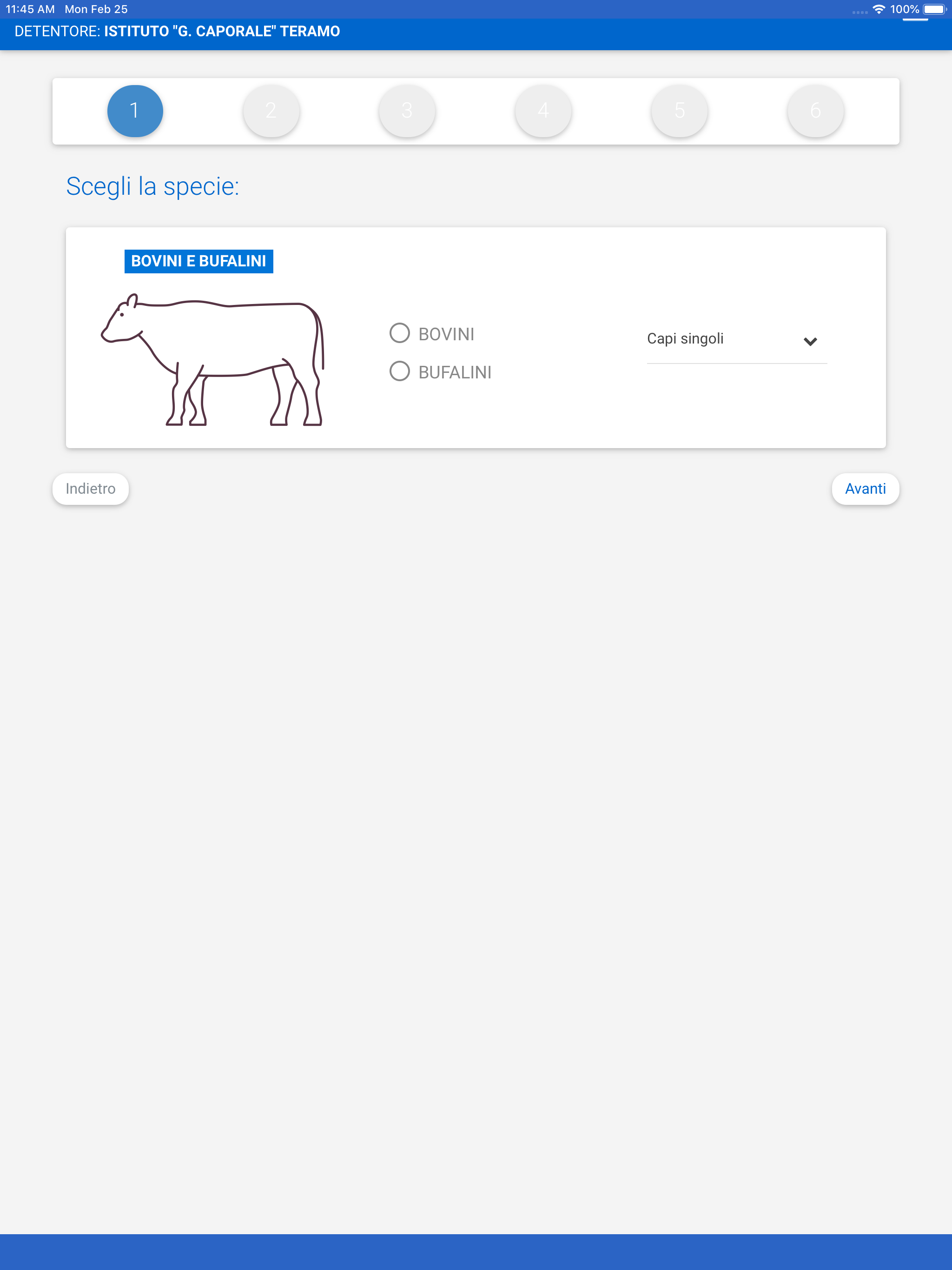 Modello 4 Elettronico screenshot 9