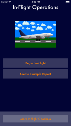 In-Flight Operations screenshot 1