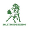 Holly Pond Broncos