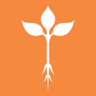 Roots - Mobile Ordering