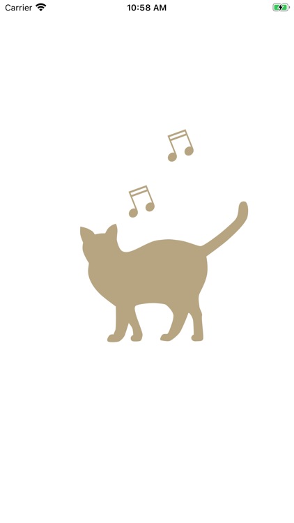 Brazil Music FM 101.3