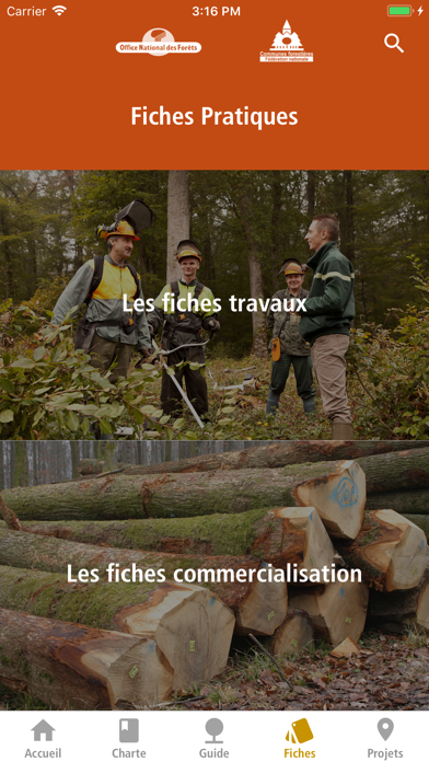 L'élu forestier Screenshot