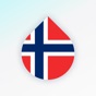 Learn Norwegian language fast app download