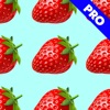 Pattern Maker Pro icon