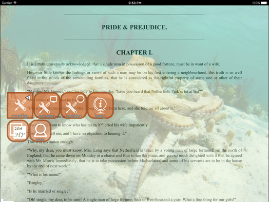 Screenshot #6 pour CatchIT Spaces Zen-HP