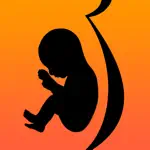 Pregnant Eating App Support
