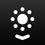 Widget Brightness