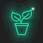 My Adeniums - Adenium care App Support