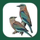 Top 37 Reference Apps Like Birds of Western Palearctic - Best Alternatives